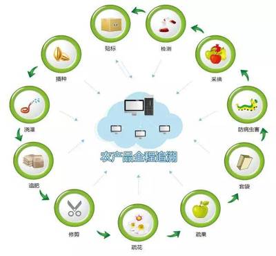 真农观察:关于农产品溯源系统,你必须要了解的一些事情